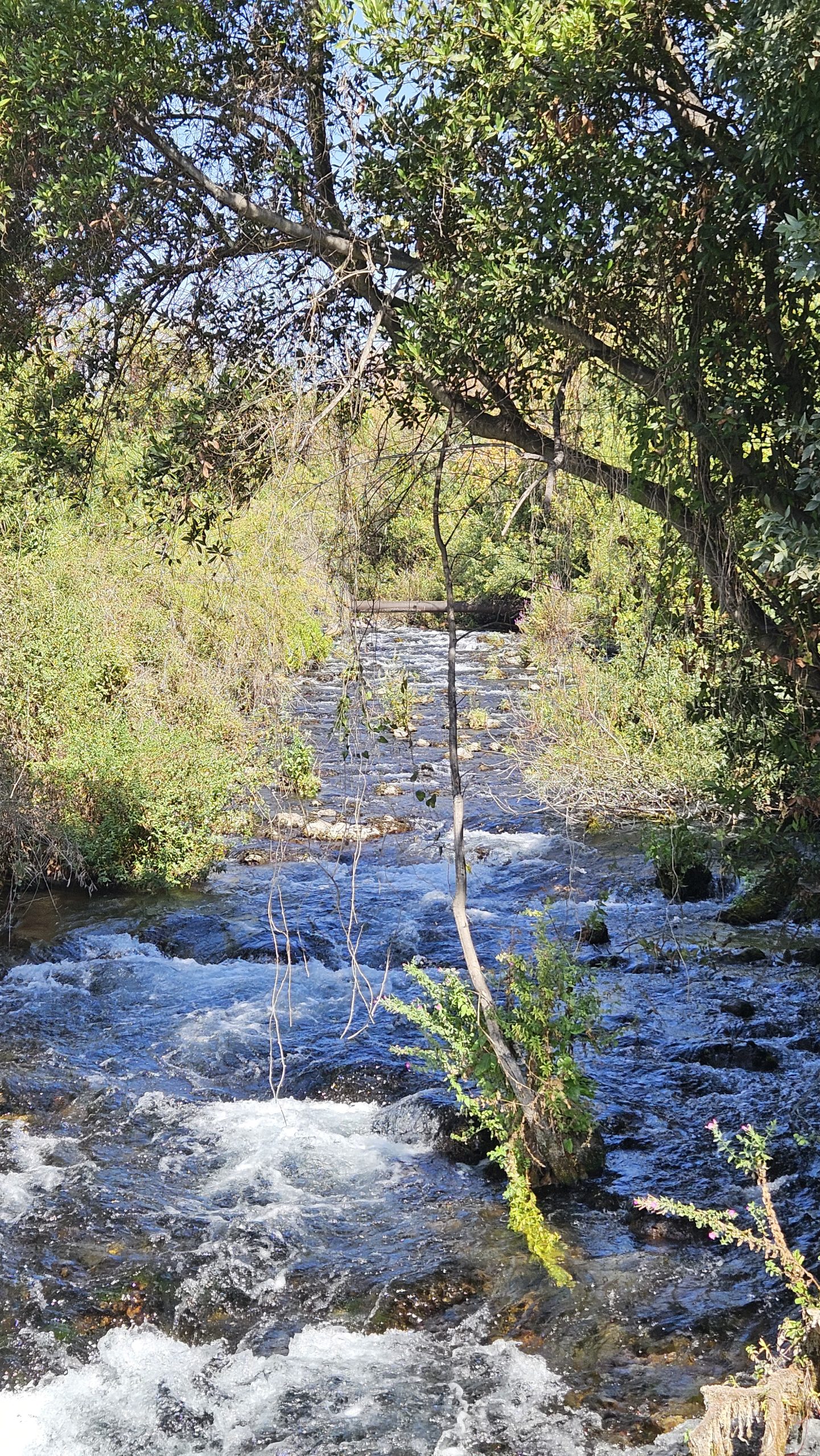 טיול המועדון לתל דן ולרג'ר