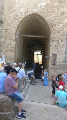 IMG_20190515_151322